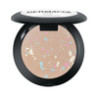 DC MINERAL COMPACT POWDER MOSAIC